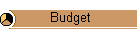 Budget