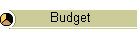 Budget